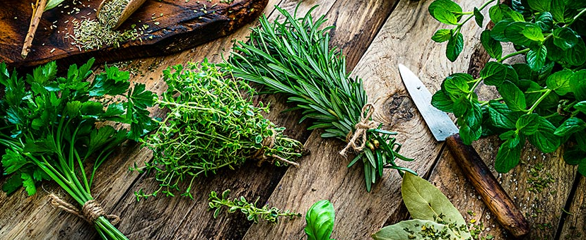 Ancient Incense Formula Reborn: Healing Recipes from Bencao Gangmu
