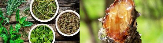 Natural Solid Incense Demystified: Plant Resins, Herbs, and Ancient Recipes
