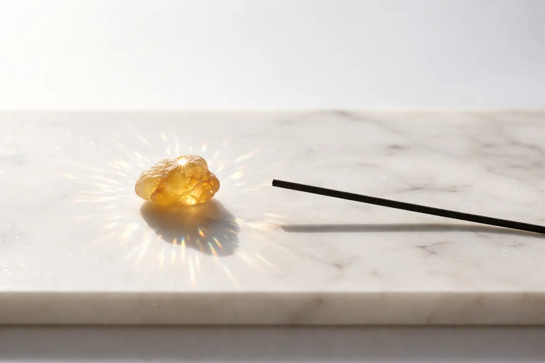 The Botanical Map: Decoding the Origin of Natural Incense Ingredients
