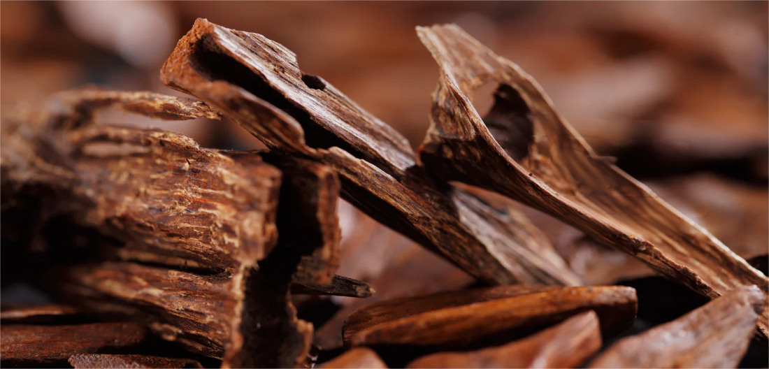 How Natural Incense Sticks Are Made: A Complete Guide